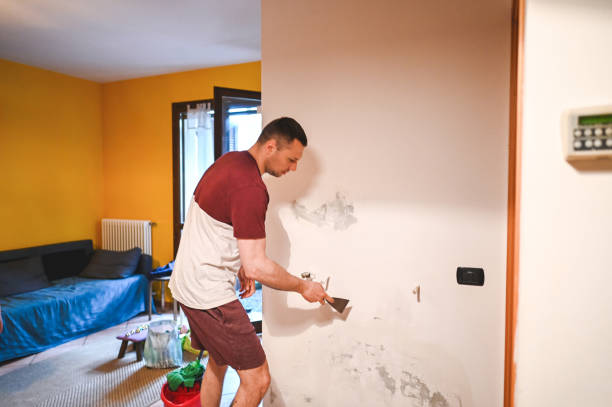 Best Home Mold Removal  in Leesburg, FL